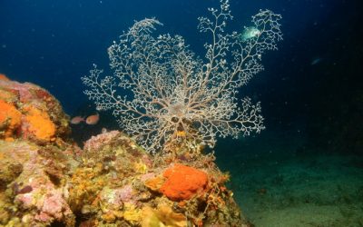 ¡Ulla & Paul se van de viaje – y te llevan con ellos!