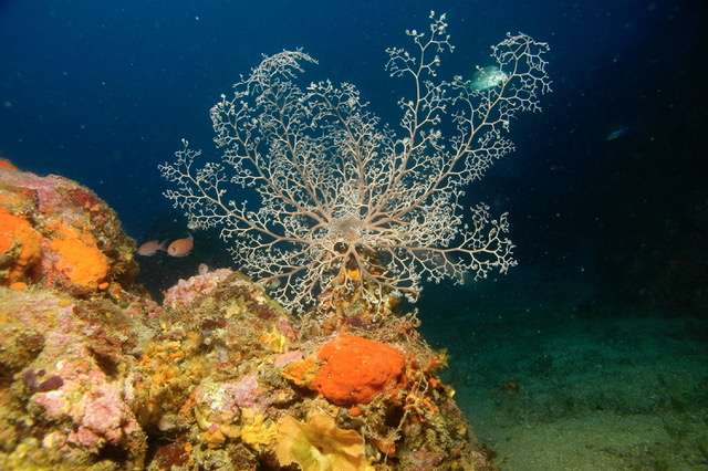 ¡Ulla & Paul se van de viaje – y te llevan con ellos!