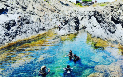 ¡Celebra con nosotros 50 años de Ulla y Paul!